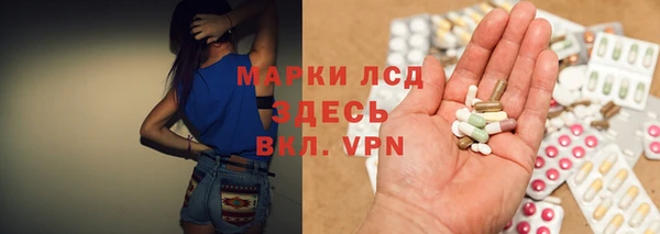 PSILOCYBIN Аркадак